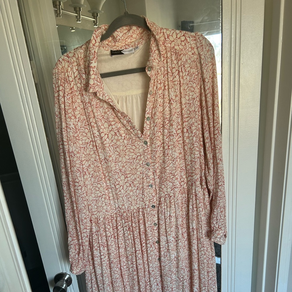 Piper and scoot button front dress with low waist.